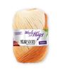 Bild von Woolly Hugs Year Socks 100g