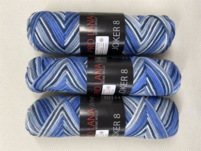 Bild von Restposten Topflappengarn Pro Lana Joker 150 Gramm/542