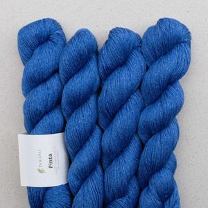 Bild von Pinta - Saphir 100