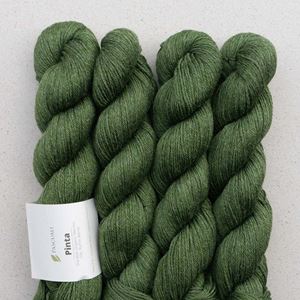 Bild von Pinta - Oliv 107