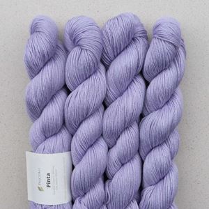 Bild von Pinta - Krokus 110