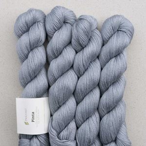 Bild von Pinta - Silber 121